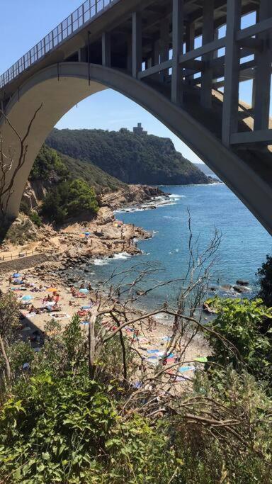 Centro Citta Con Le Comodita 利沃诺 外观 照片